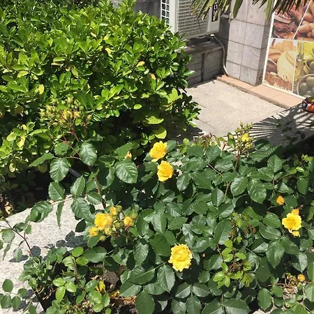 Apartman Raido Perla