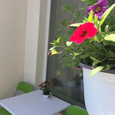 Apartman Raido Perla